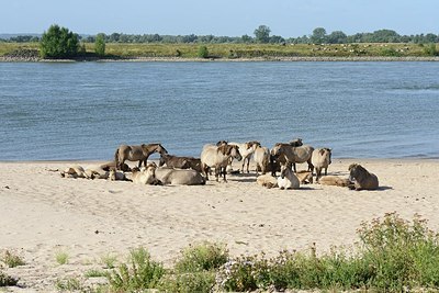 BUITEN BEELD Foto: 182990