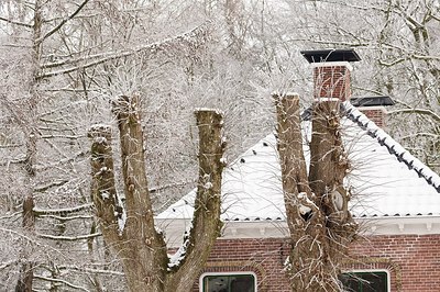 BUITEN BEELD Foto: 183008