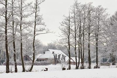 BUITEN BEELD Foto: 183023