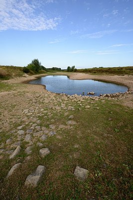 BUITEN BEELD Foto: 183038