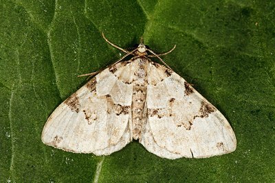 BUITEN BEELD Foto: 183058