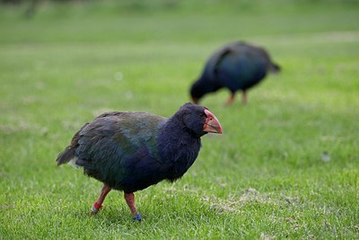 BUITEN BEELD Foto: 183066