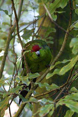 BUITEN BEELD Foto: 183073