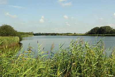 BUITEN BEELD Foto: 183166