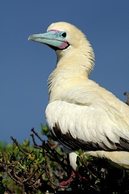 BUITEN BEELD Foto: 183265