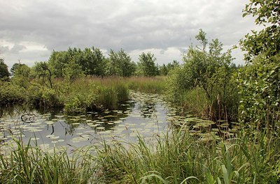 BUITEN BEELD Foto: 183286