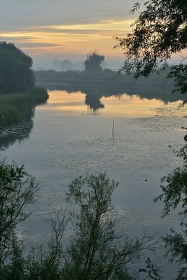 BUITEN BEELD Foto: 183287