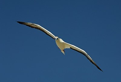 BUITEN BEELD Foto: 183331