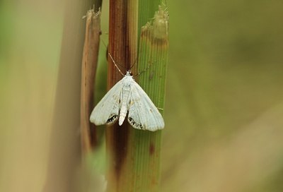 BUITEN BEELD Foto: 183338