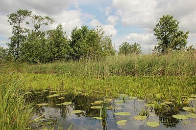 BUITEN BEELD Foto: 183346