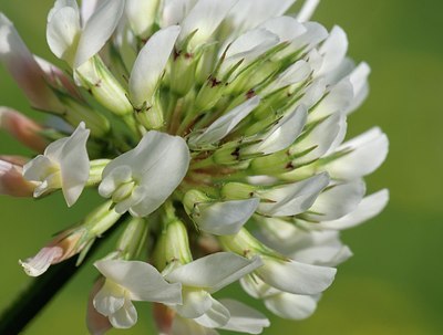 BUITEN BEELD Foto: 183361