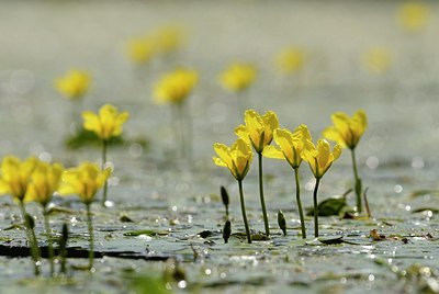 BUITEN BEELD Foto: 183375