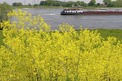 BUITEN BEELD Foto: 183377