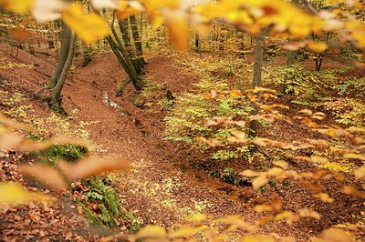 BUITEN BEELD Foto: 183389