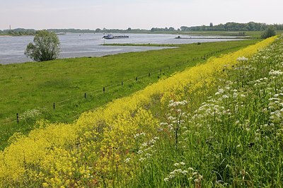 BUITEN BEELD Foto: 183398