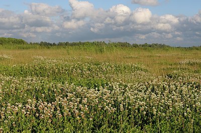 BUITEN BEELD Foto: 183412