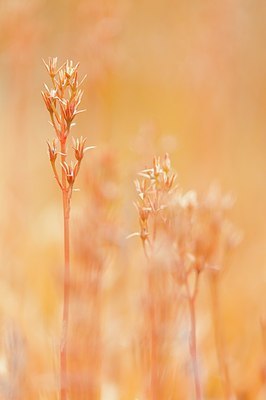 BUITEN BEELD Foto: 183413
