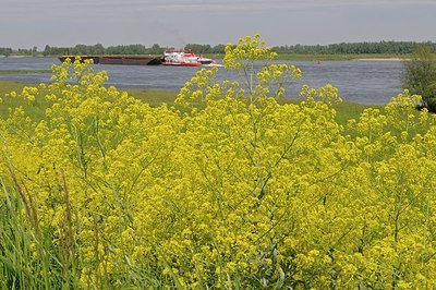 BUITEN BEELD Foto: 183431