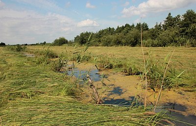 BUITEN BEELD Foto: 183508