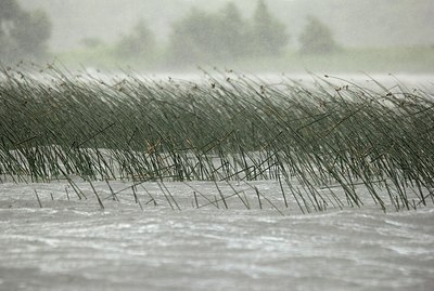 BUITEN BEELD Foto: 183532