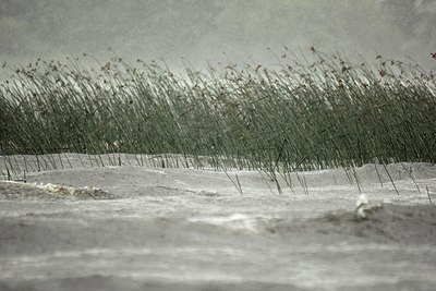 BUITEN BEELD Foto: 183534