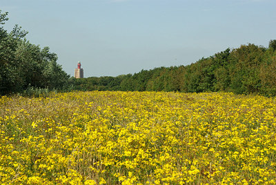 BUITEN BEELD Foto: 183563