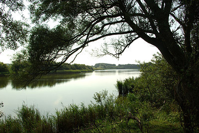 BUITEN BEELD Foto: 183566