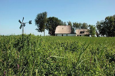 BUITEN BEELD Foto: 183589