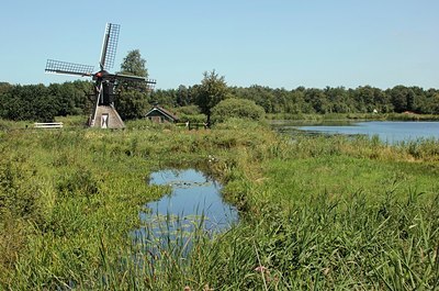 BUITEN BEELD Foto: 183591