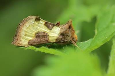 BUITEN BEELD Foto: 183619