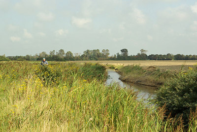 BUITEN BEELD Foto: 183626