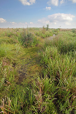BUITEN BEELD Foto: 183634