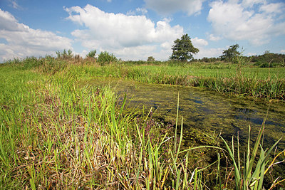 BUITEN BEELD Foto: 183635