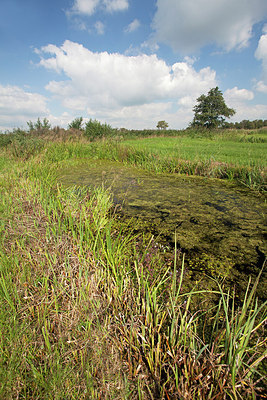 BUITEN BEELD Foto: 183636