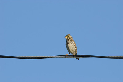 BUITEN BEELD Foto: 183651