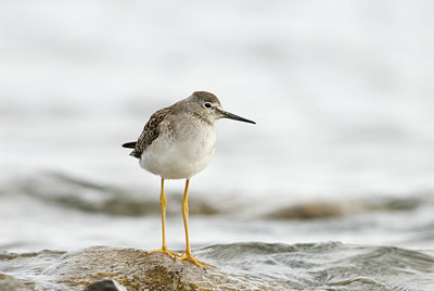 BUITEN BEELD Foto: 183664