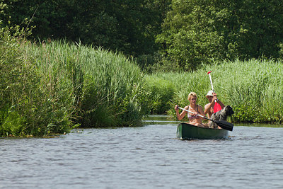 BUITEN BEELD Foto: 183695