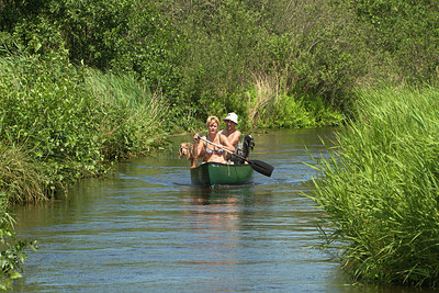 BUITEN BEELD Foto: 183698