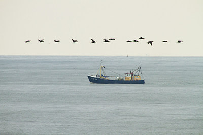 BUITEN BEELD Foto: 183713
