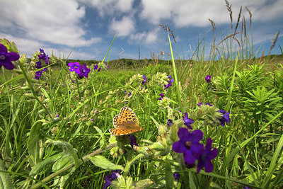 BUITEN BEELD Foto: 183716