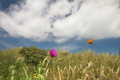 BUITEN BEELD Foto: 183717