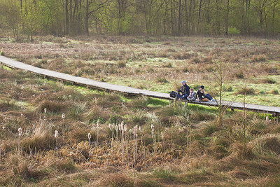 BUITEN BEELD Foto: 183733