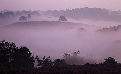 BUITEN BEELD Foto: 183761