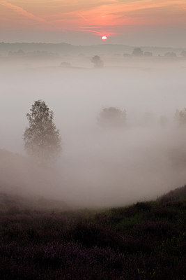 BUITEN BEELD Foto: 183764