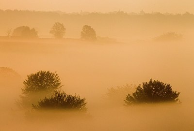 BUITEN BEELD Foto: 183765