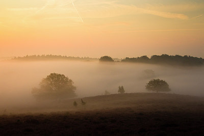 BUITEN BEELD Foto: 183767