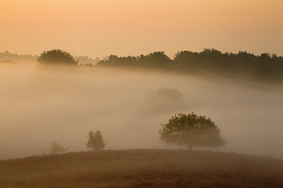 BUITEN BEELD Foto: 183769