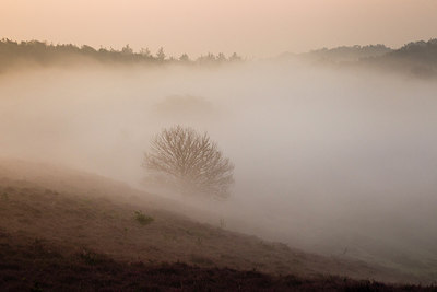 BUITEN BEELD Foto: 183770