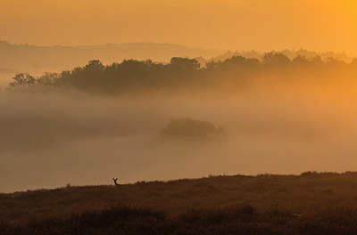 BUITEN BEELD Foto: 183772