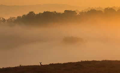 BUITEN BEELD Foto: 183773